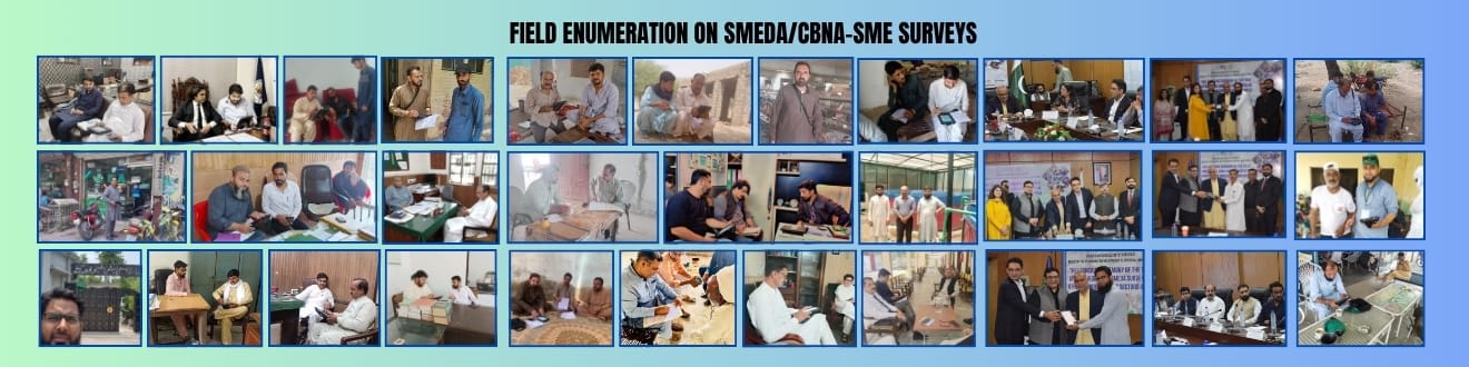 SMEDA 005