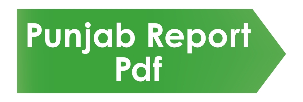Punjab Report