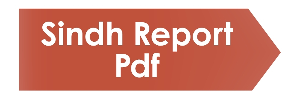 Sindh Report