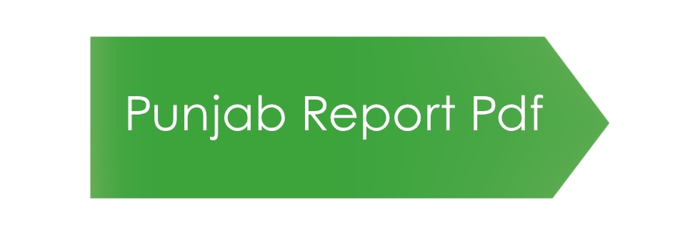 Punjab Report