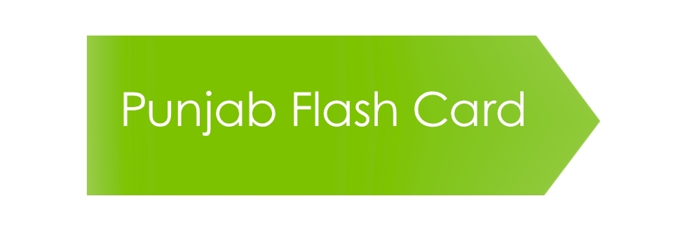 Flash Card Punjab