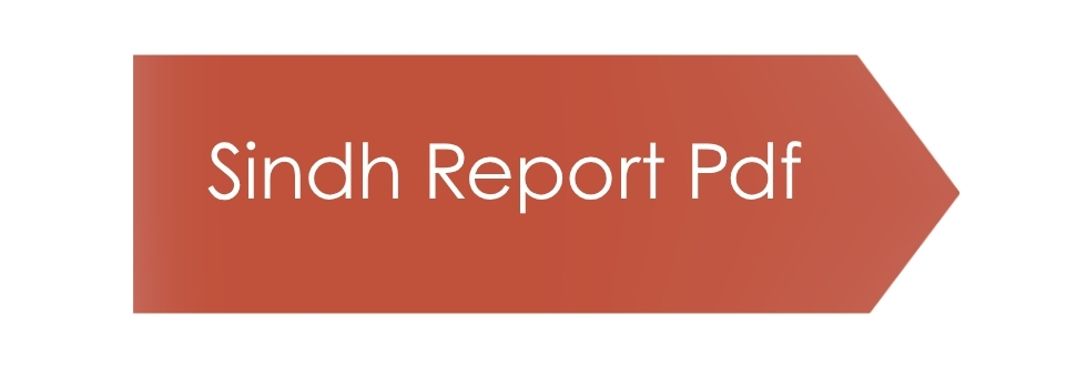 Sindh Report